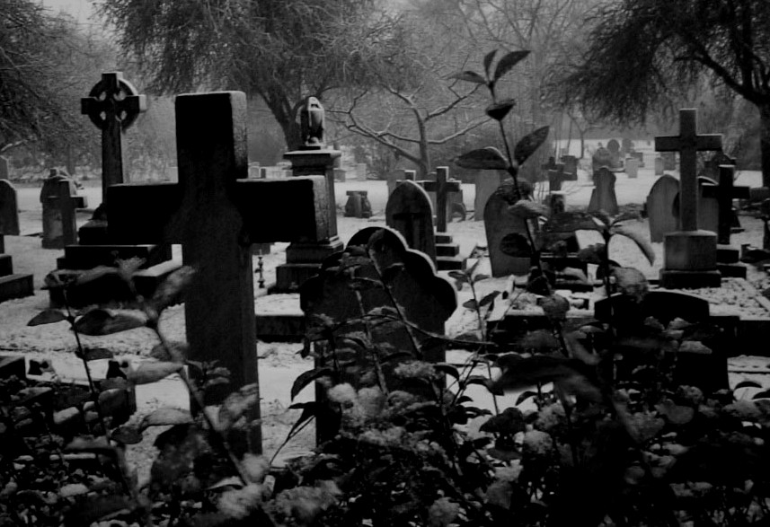 ¿Visitas de Vez en Cuando o Regularmente Algún Cementerio? Cementerio