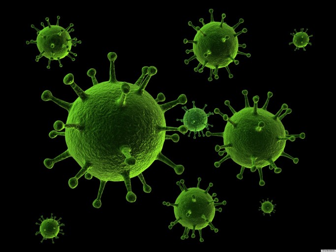Virus. Imagen tomada de Internet